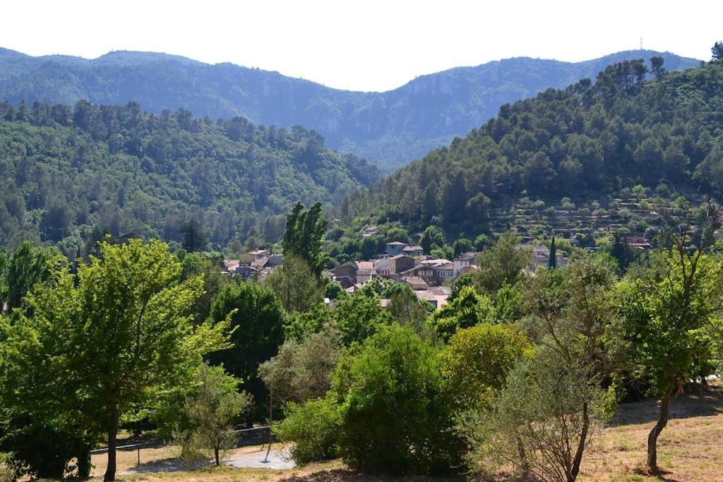 Apartament Cosy Provencal Belgentier Zewnętrze zdjęcie