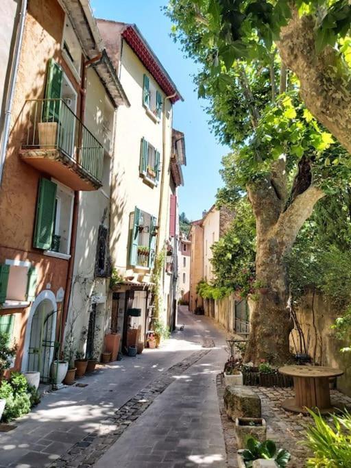 Apartament Cosy Provencal Belgentier Zewnętrze zdjęcie