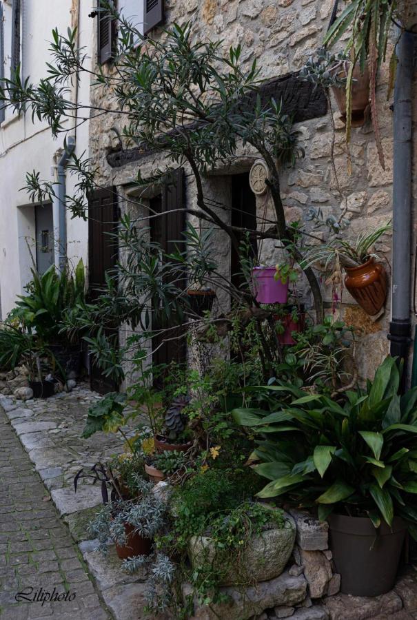 Apartament Cosy Provencal Belgentier Zewnętrze zdjęcie
