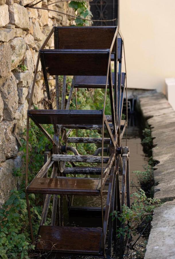 Apartament Cosy Provencal Belgentier Zewnętrze zdjęcie