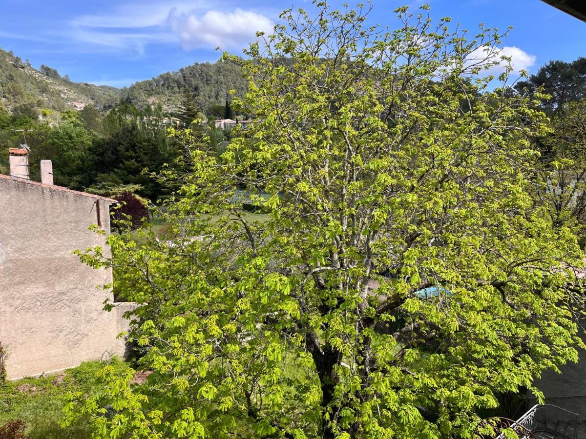 Apartament Cosy Provencal Belgentier Zewnętrze zdjęcie